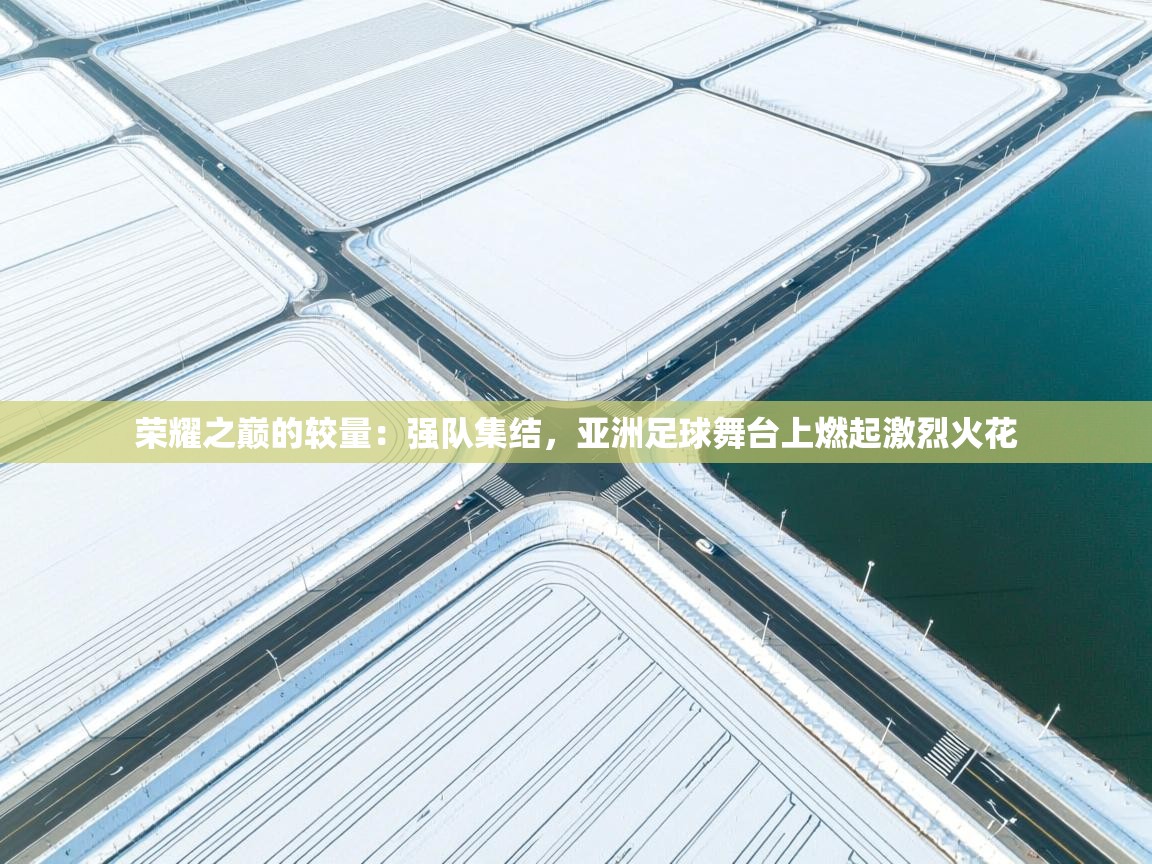 荣耀之巅的较量：强队集结，亚洲足球舞台上燃起激烈火花  第2张