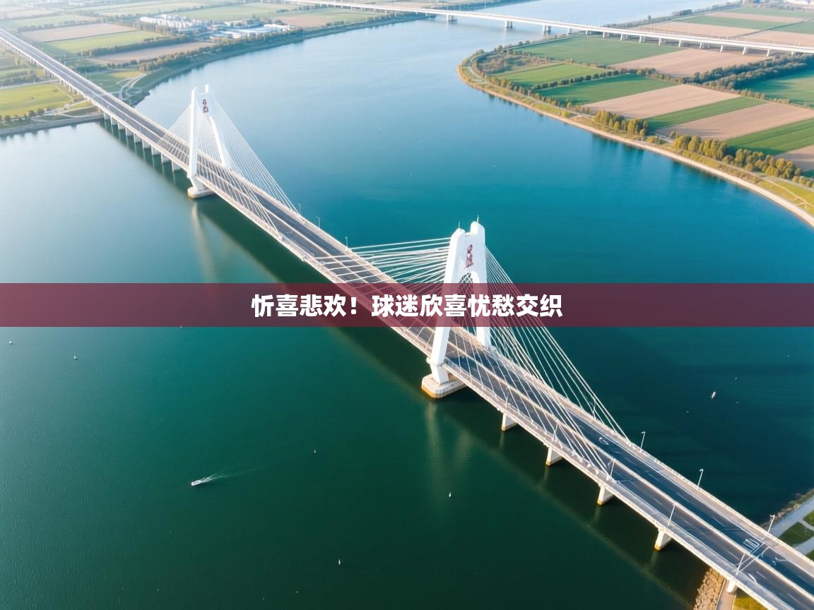 忻喜悲欢！球迷欣喜忧愁交织  第1张