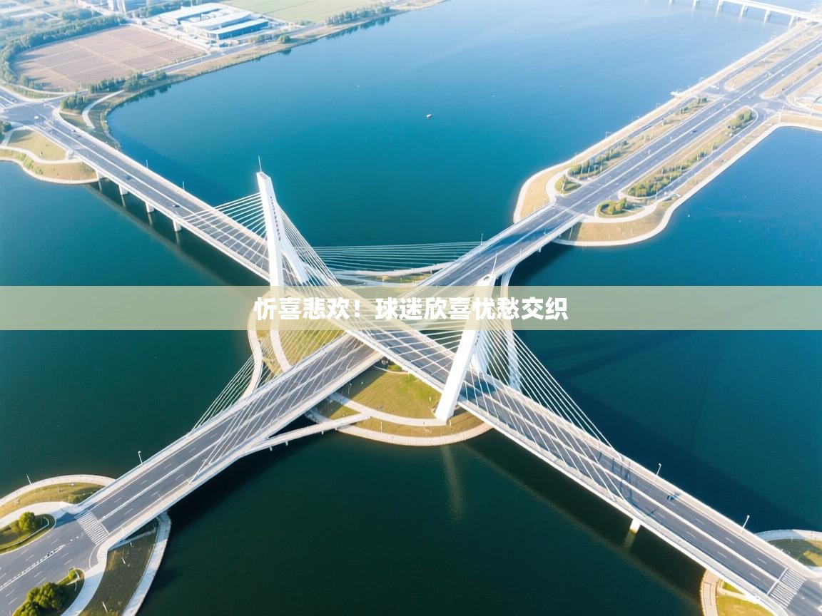 忻喜悲欢！球迷欣喜忧愁交织  第2张