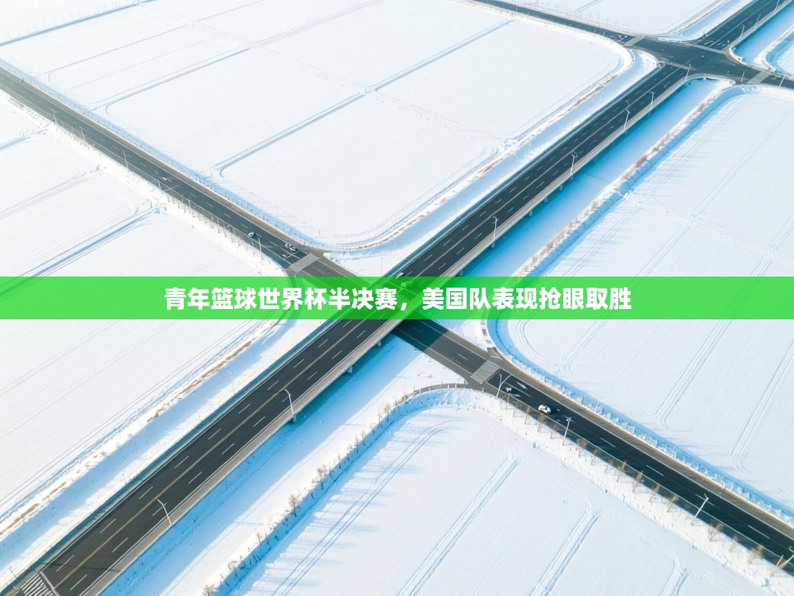 青年篮球世界杯半决赛，美国队表现抢眼取胜  第1张