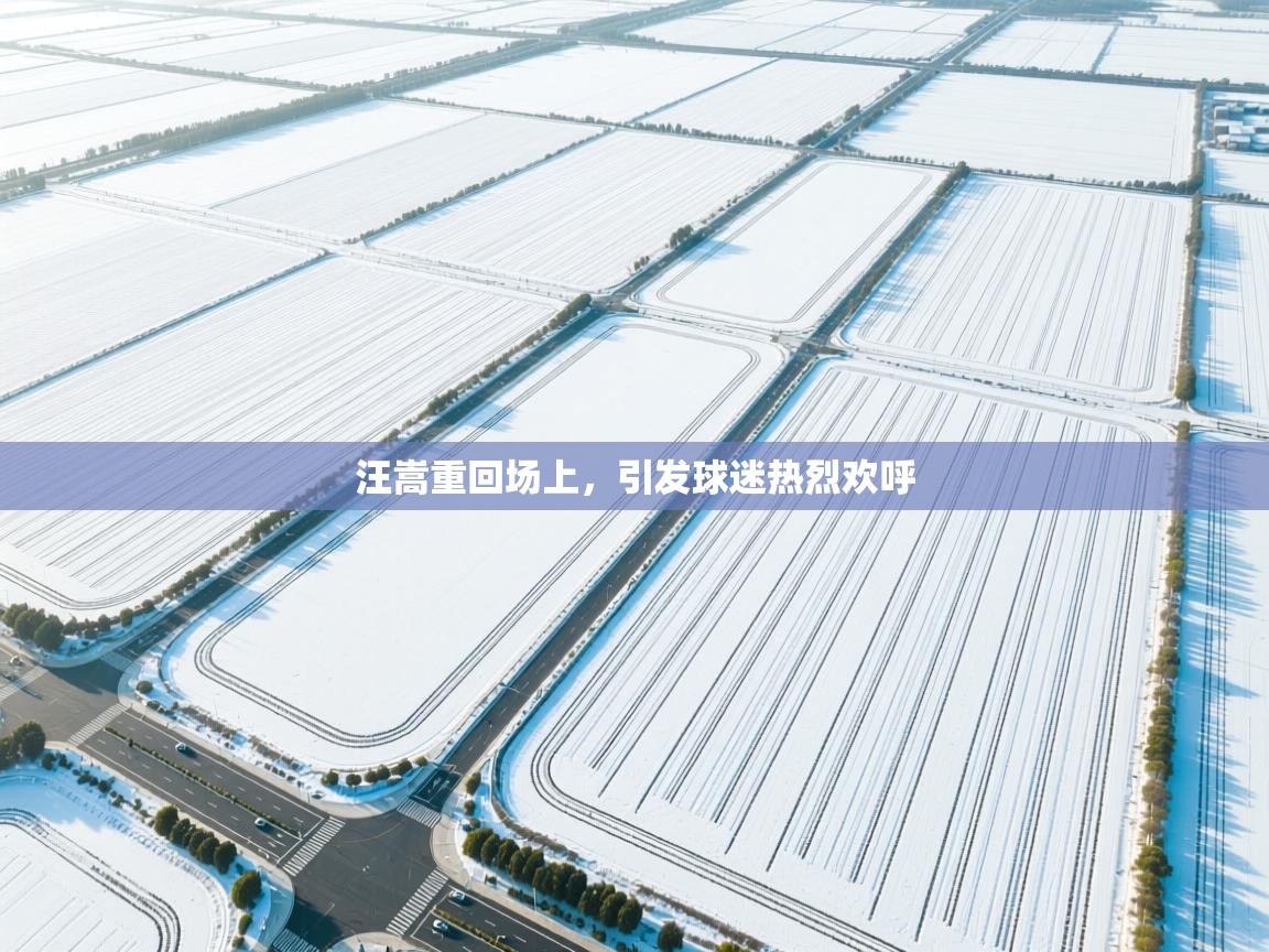 汪嵩重回场上，引发球迷热烈欢呼  第1张