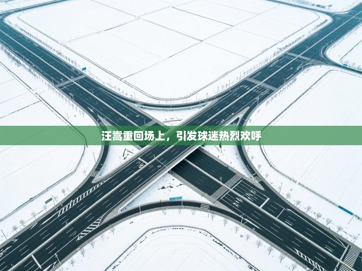 汪嵩重回场上，引发球迷热烈欢呼  第2张