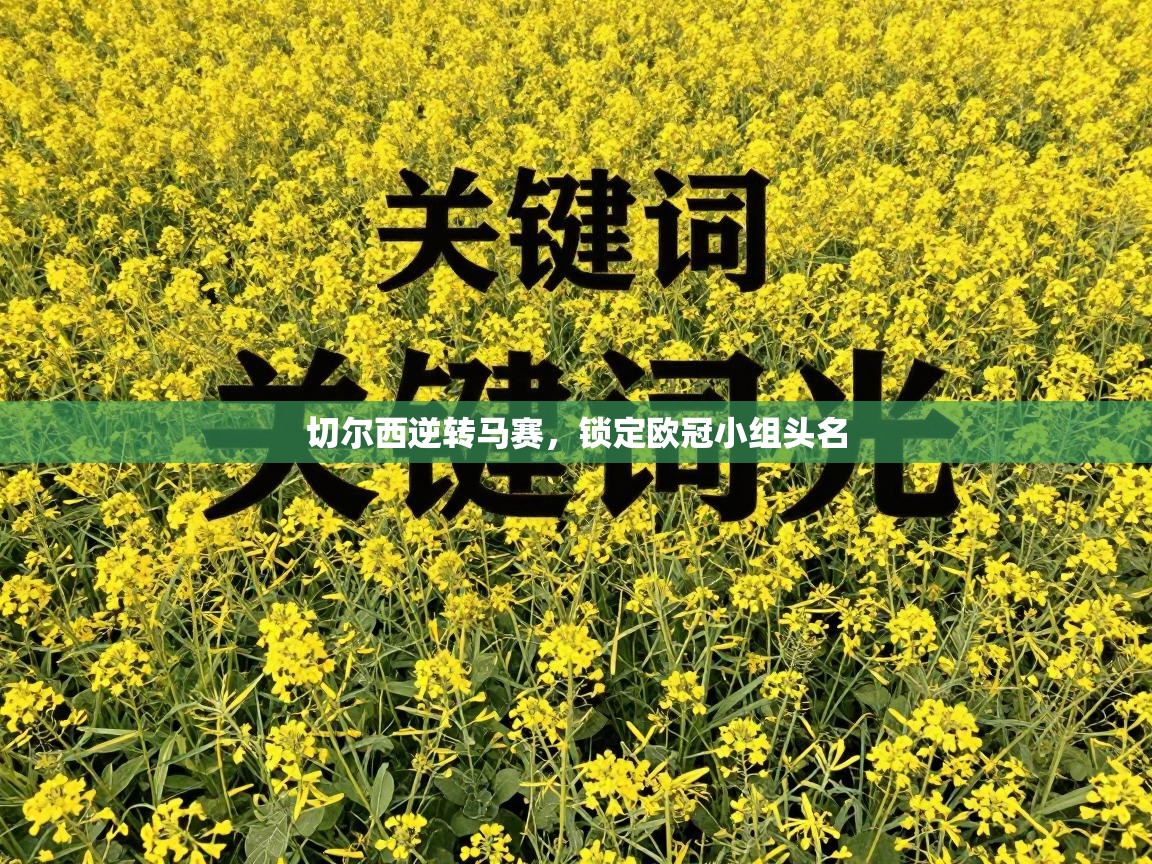 切尔西逆转马赛，锁定欧冠小组头名  第1张